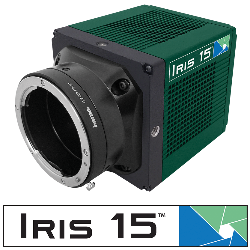 Iris 15 photo
