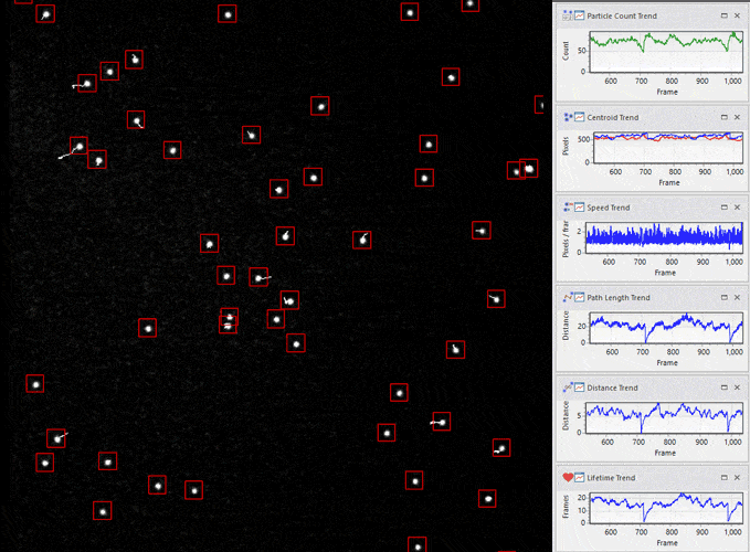 Live particle tracking graph
